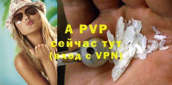 спайс Вяземский