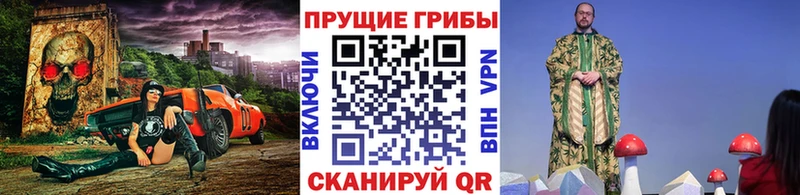 купить наркоту  Гусь-Хрустальный  Галлюциногенные грибы Magic Shrooms 